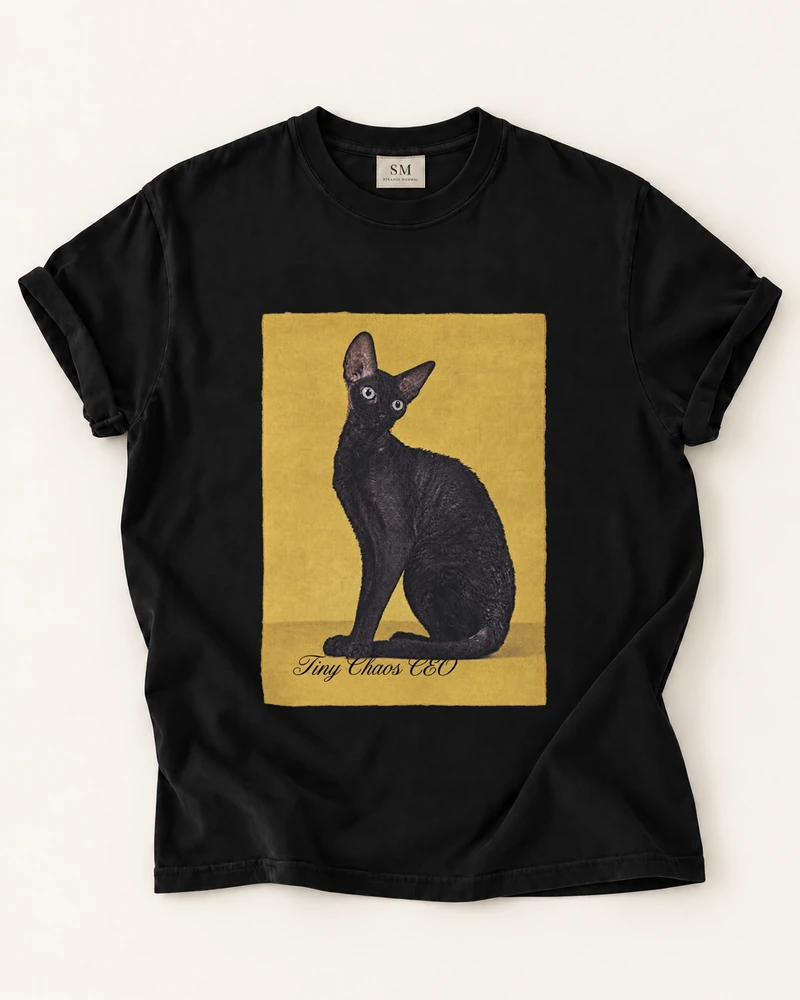 Black T-shirt with tiny chaos ceo black cat front print